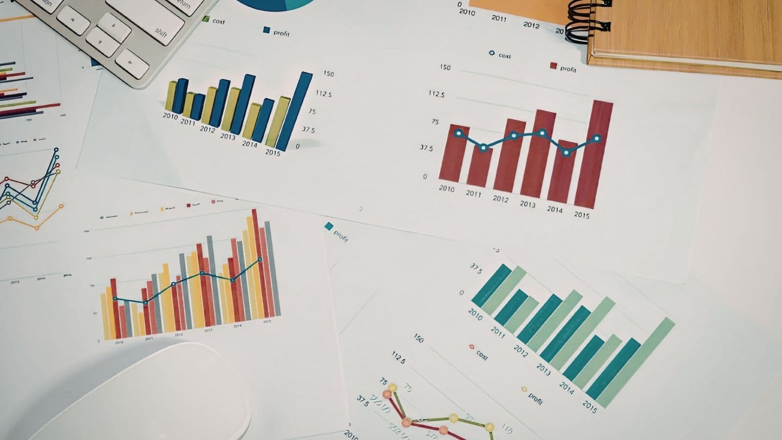 Business Intelligence & Reporting Skills