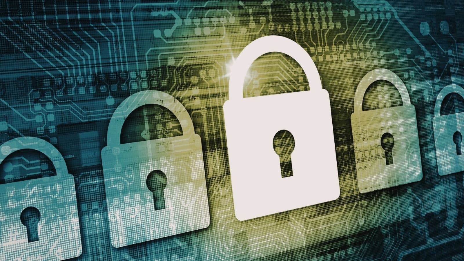 Data Privacy & Protection Best Practices