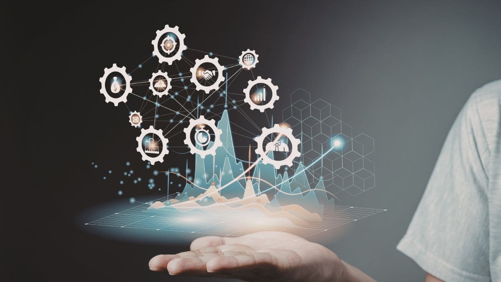 Product & Service Innovation – July 2026