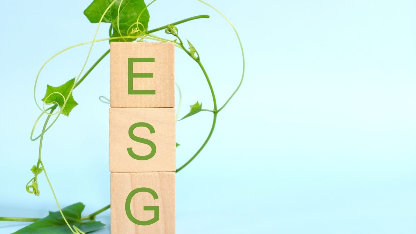 Basic ESG Fundamentals for Malaysian SMEs - Building Sustainable & Competitive Businesses