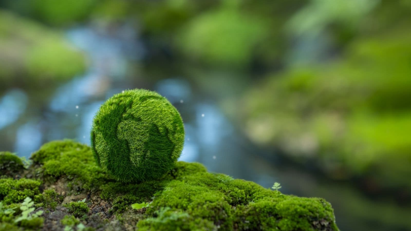 Carbon Footprint & Climate Awareness