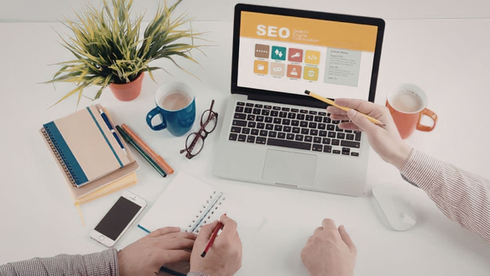 Digital Marketing Strategy & Performance