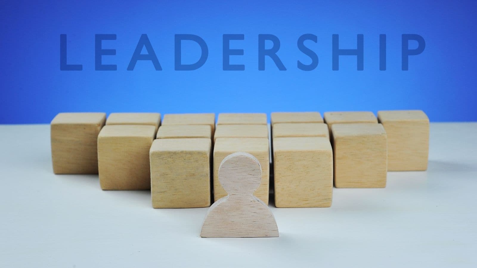 High-Performance Team Leadership