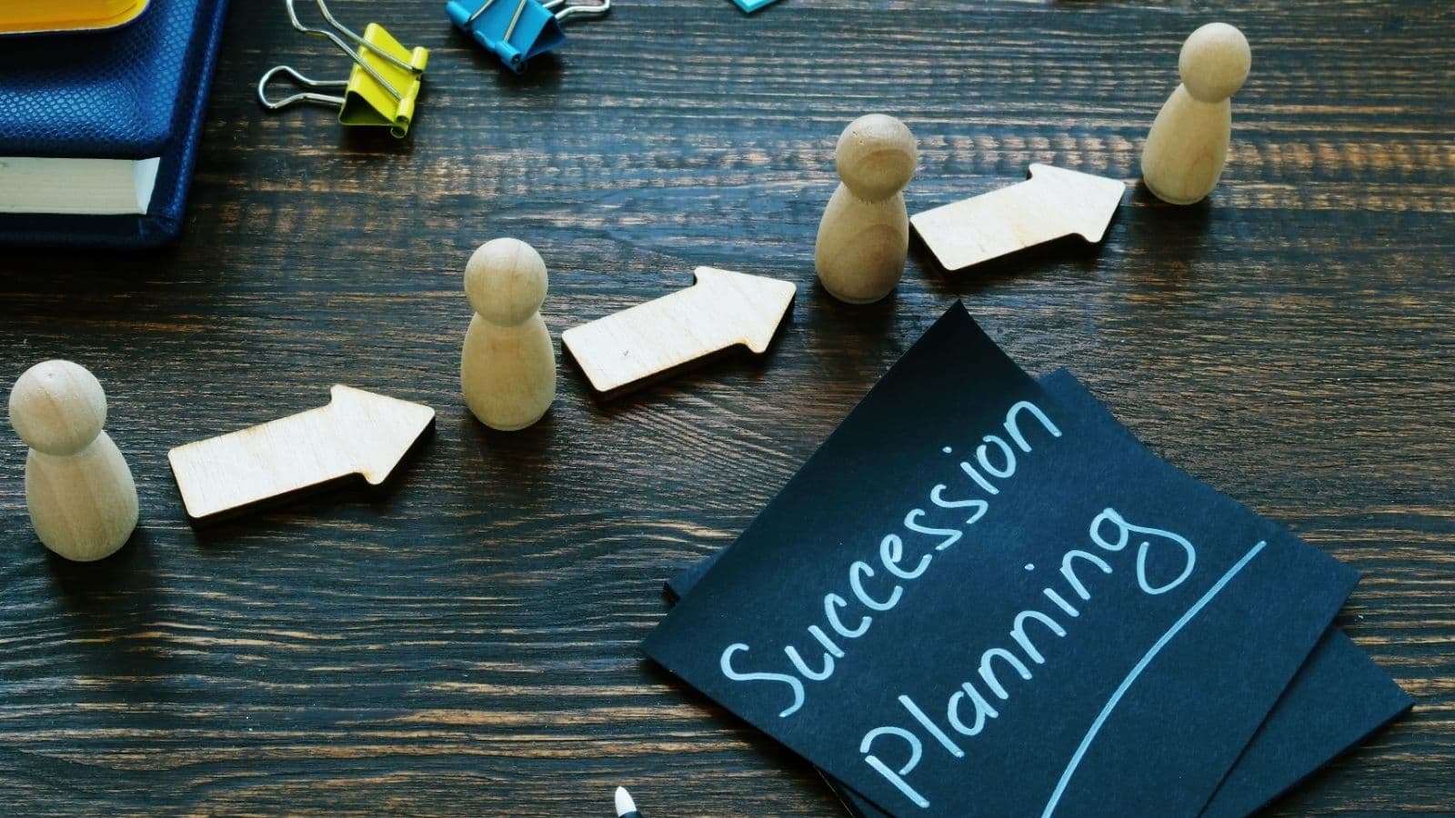 Succession Planning & Talent Pipeline Development
