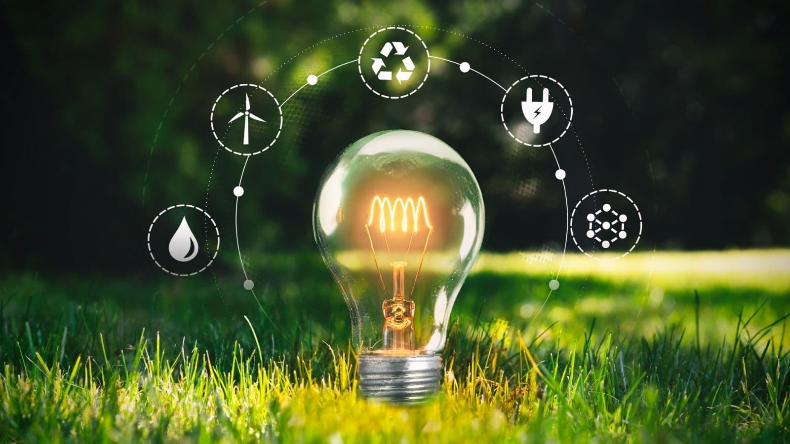 Sustainable Business Practices