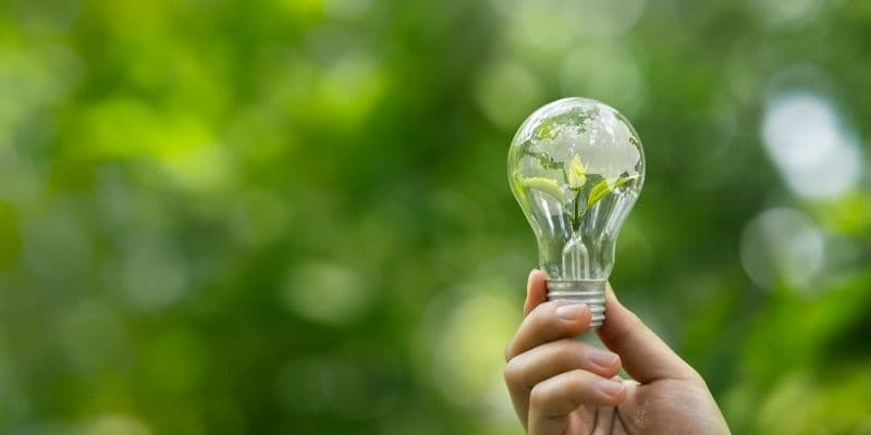 ESG & Sustainable Business