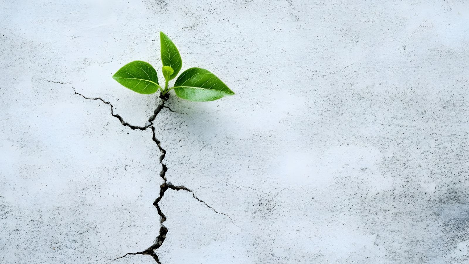 Developing Resilience in Challenging Times