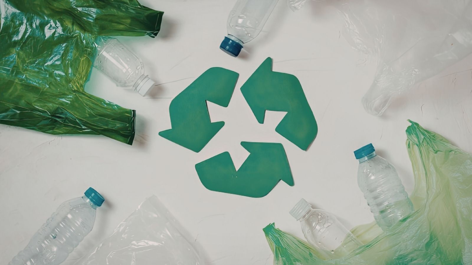 Green Supply Chain & Sustainability Practices